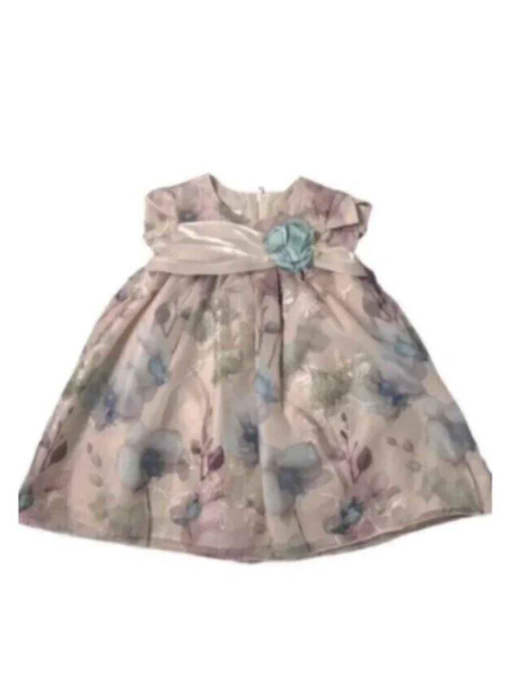 Bonnie Baby Baby Girl Blush Floral Print Fancy Dress 18 Months